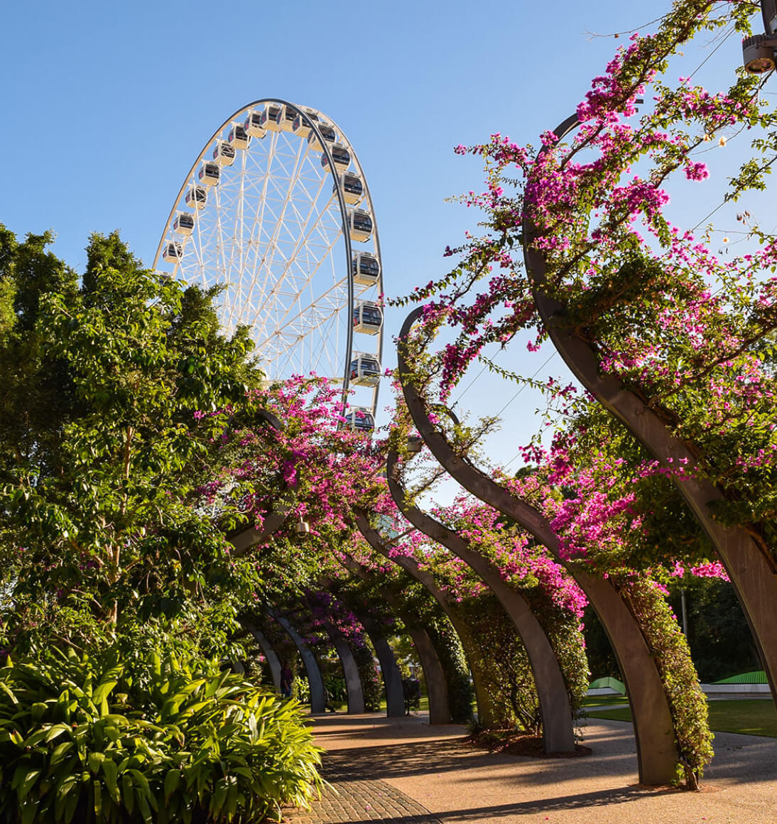 Craft your own Brisbane Story