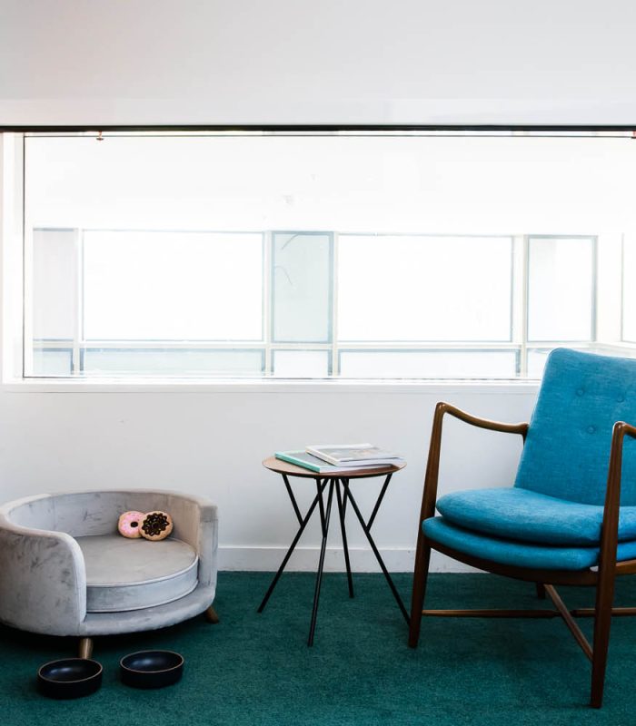 Room feature